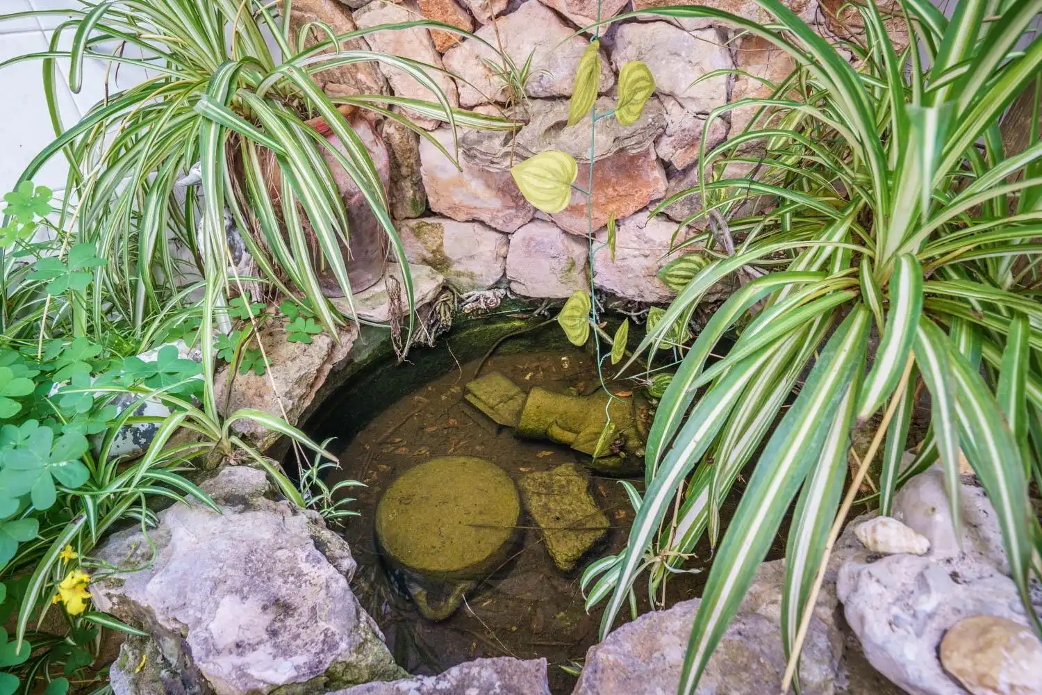 Jardí de Casa o xalet en venda en Artà amb Traster i Balcó