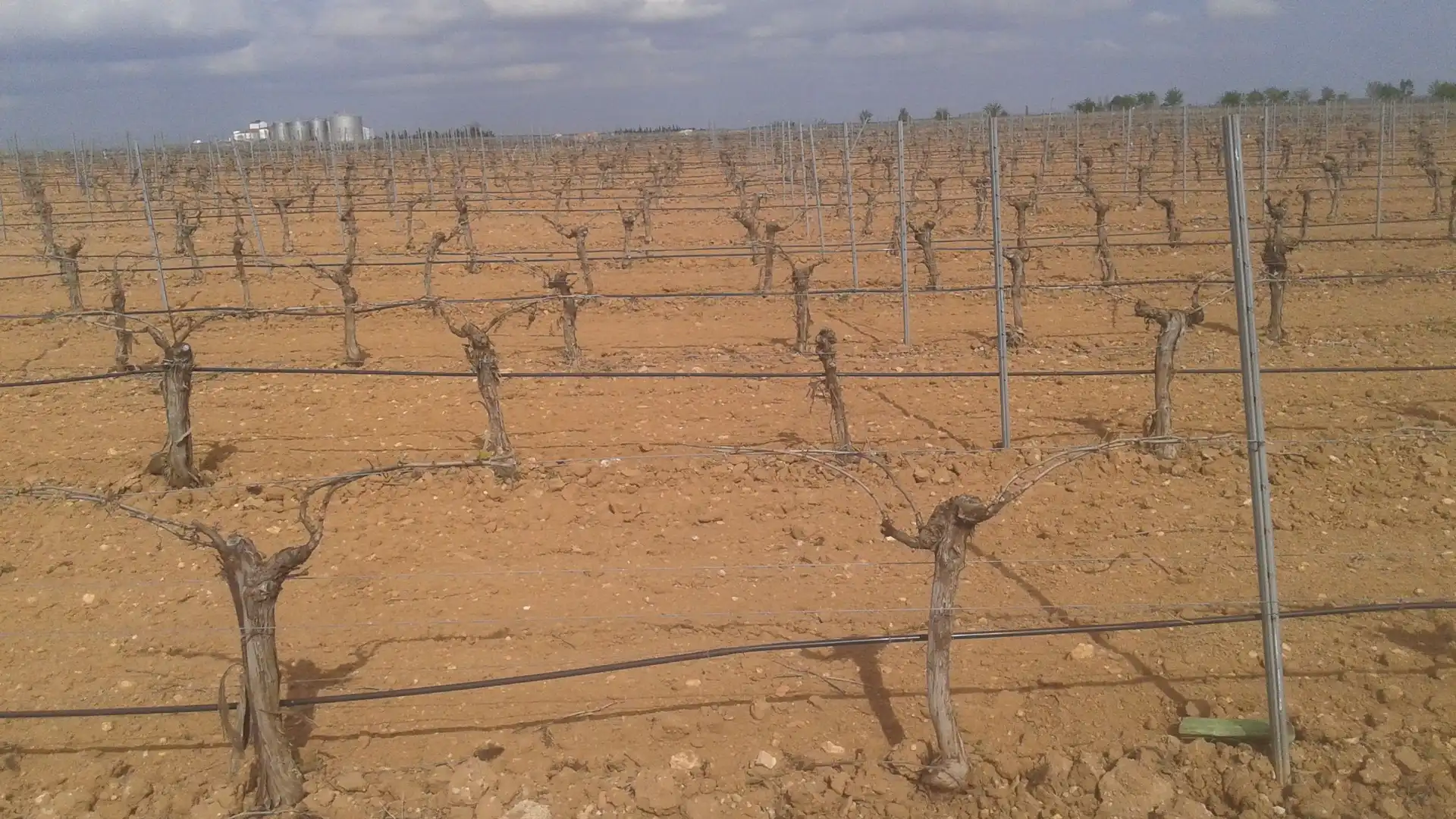 Terrenys i solars en venda a Las Mesas, imagen 18
