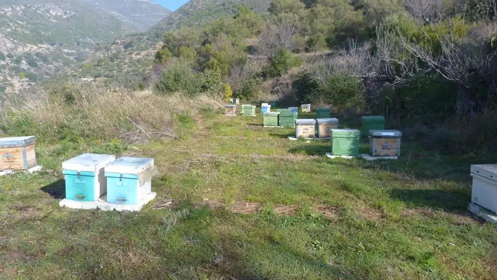 Terreni e lotti in vendita a Ítrabo, imagen 6