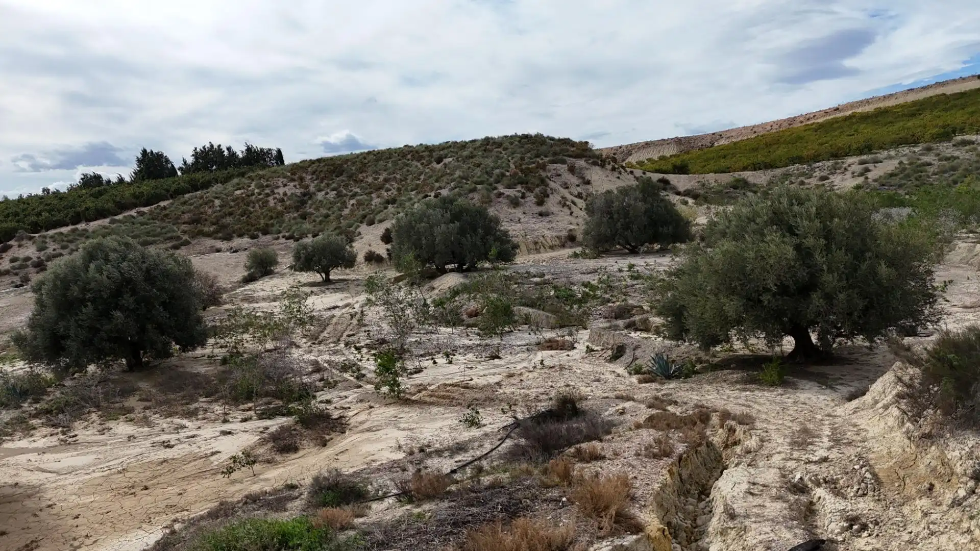 Landhaus mit Garten zum Verkauf in Las Cunas - La Algarrobina, imagen 24