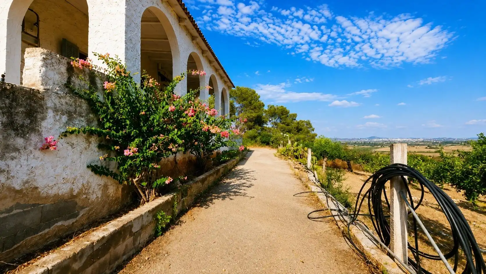 Casa rústica en venta en Algaida, imagen 10