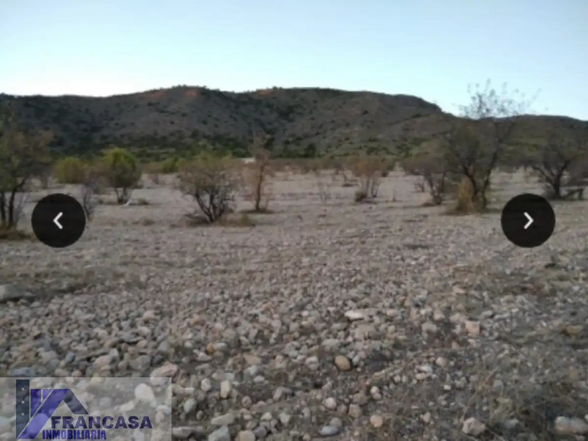 Country house for sale in Jumilla, imagen 3