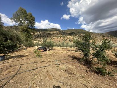 Casa o xalet en venda en Casabermeja amb Jardí privat i Terrassa