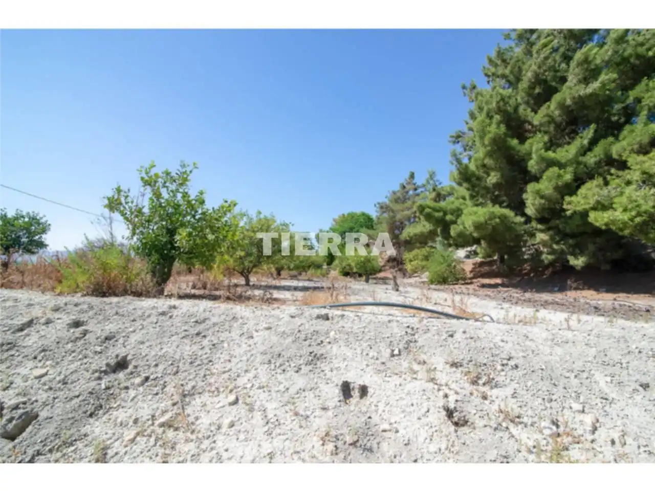 Lands and plots for sale in Poligono El Semolilla, imagen 8