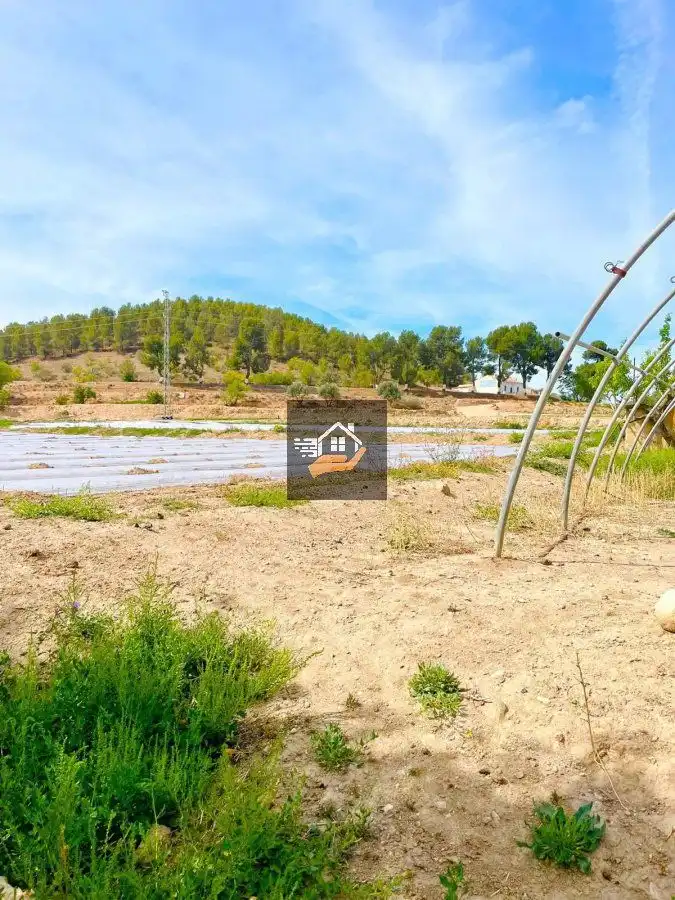 Lands and plots for sale in Vélez-Rubio, imagen 8
