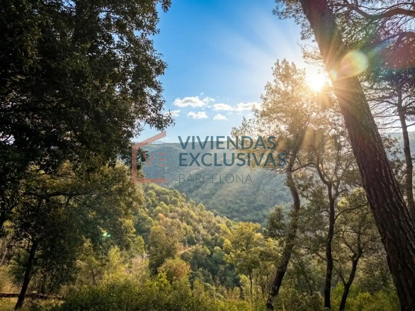 Vista exterior de Finca rústica en venda en Seva