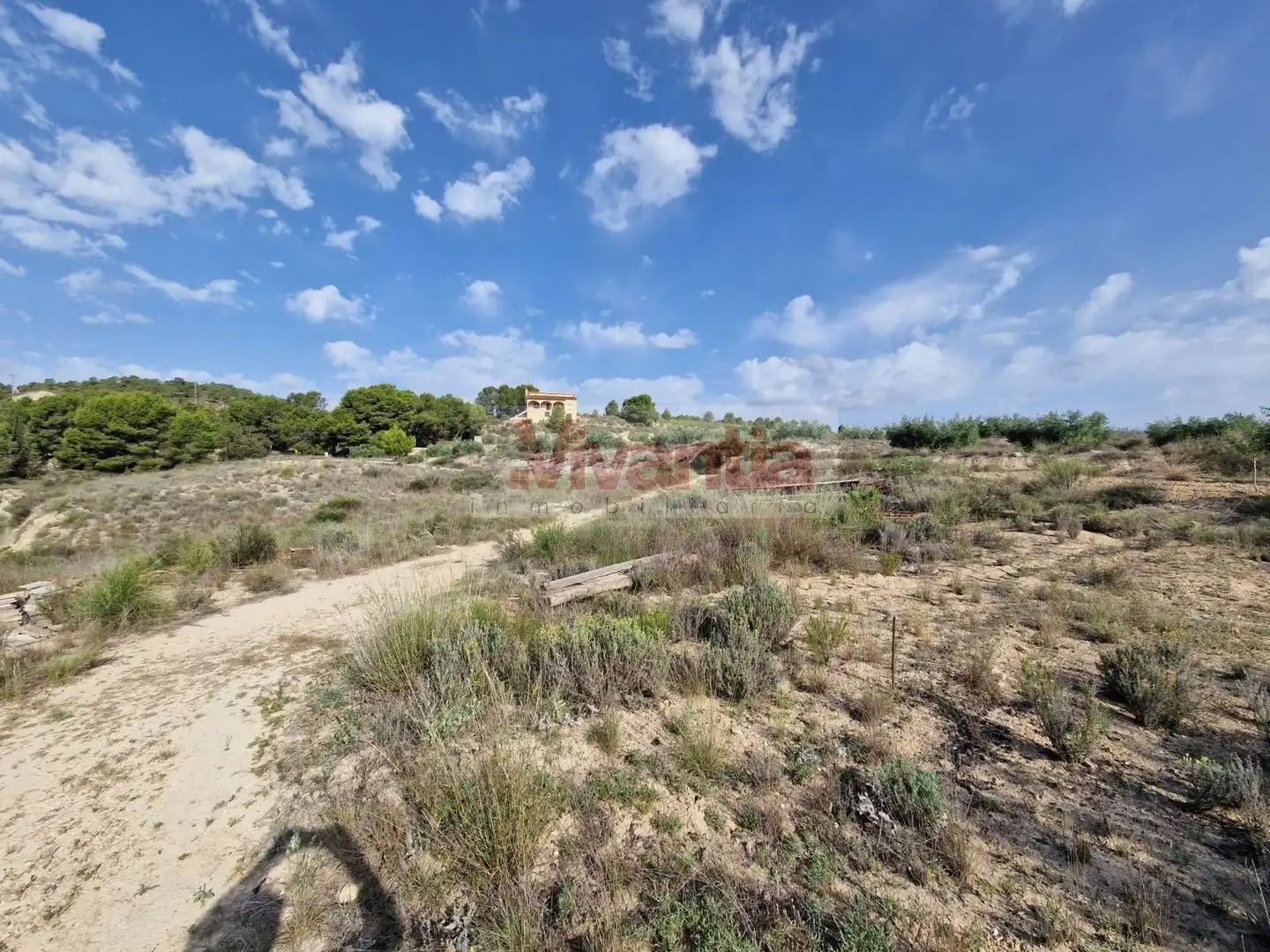 Casa o chalet en venta en Lorca