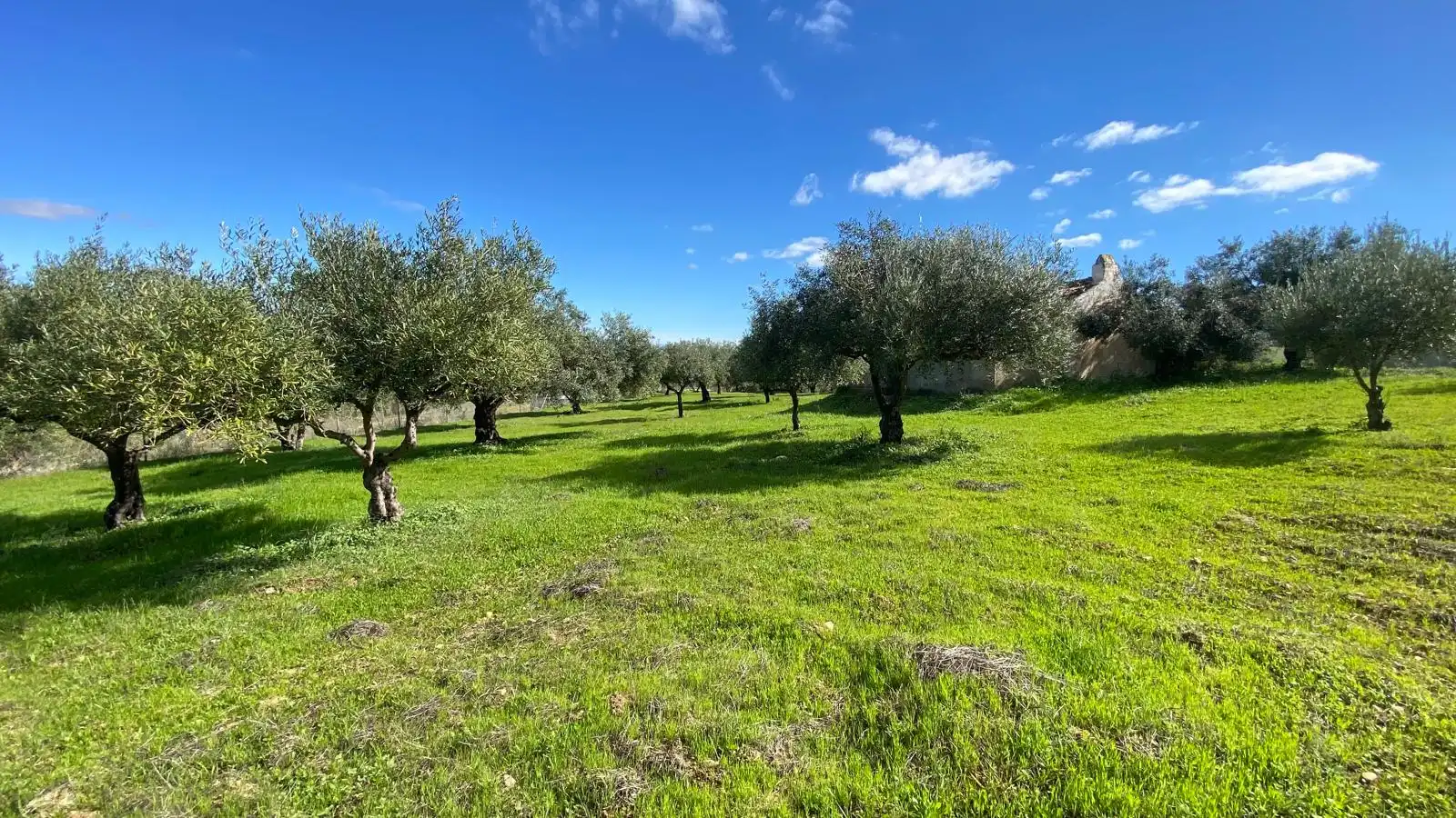 Terreni e lotti in vendita a Alquería - Torrealquería, imagen 12