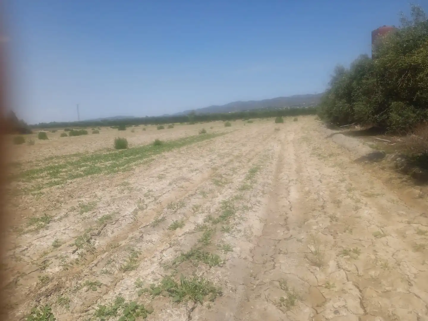 Terreni e lotti in vendita a Pedanías Sur, imagen 2