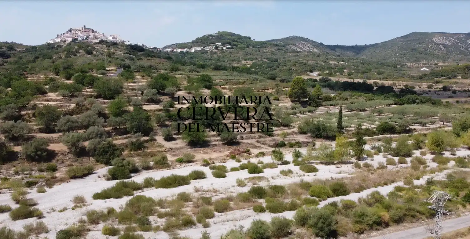 Terreno rustico in vendita a Cervera del Maestre, imagen 13