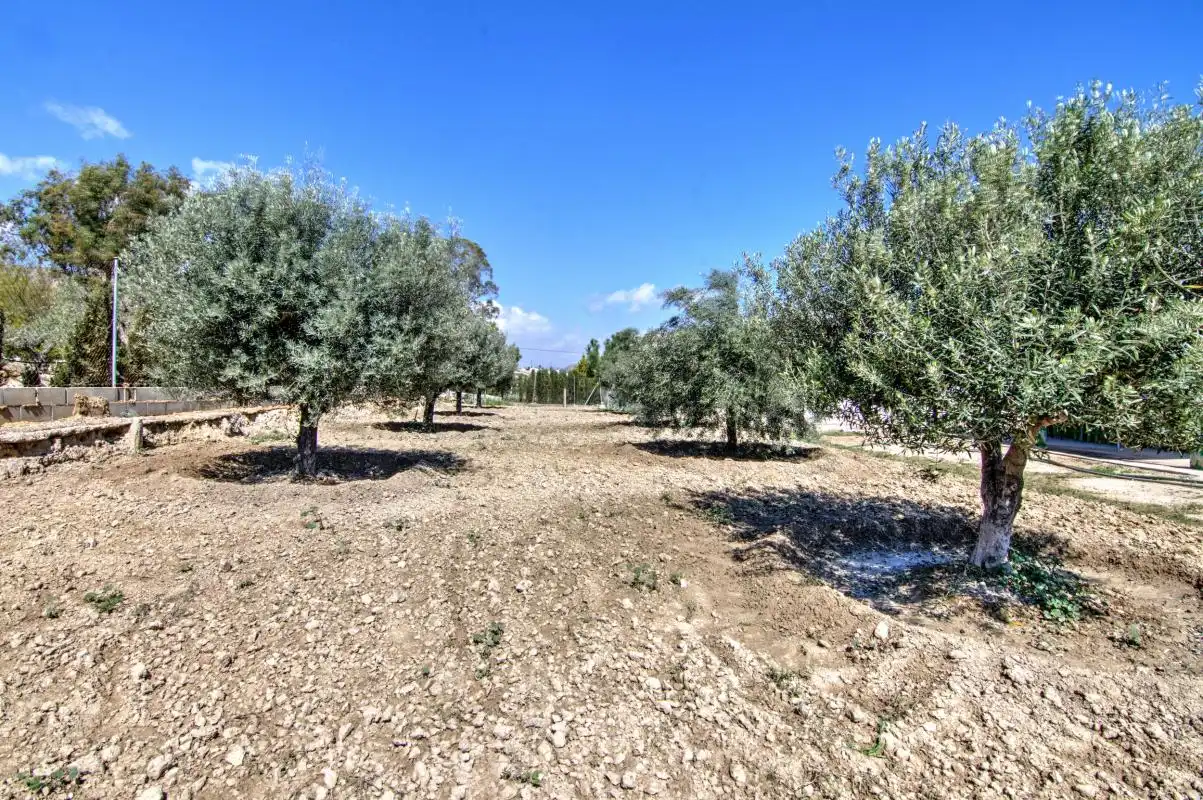 Casa o xalet en venda en Alicante / Alacant amb Aire condicionat, Calefacció i Jardí privat
