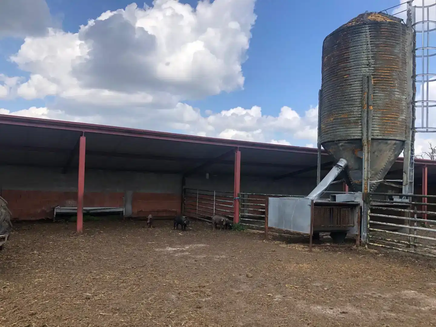 Vista exterior de Terreno en venta en Fuentes de Oñoro