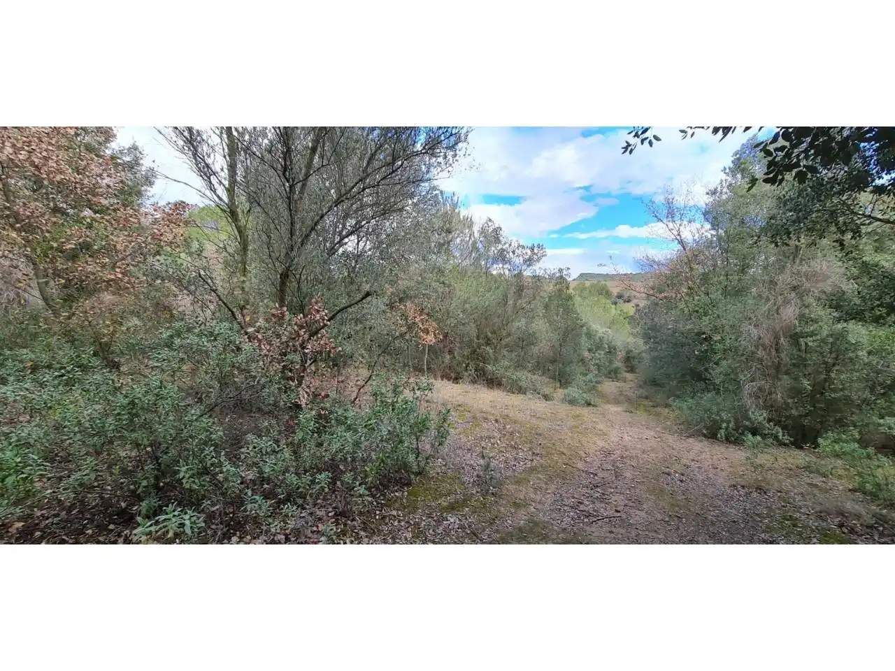 Rural land for sale in Lliçà d'Amunt, imagen 14