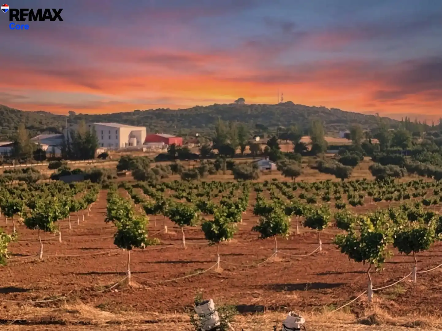 Vista exterior de Terreno en venta en Higuera la Real