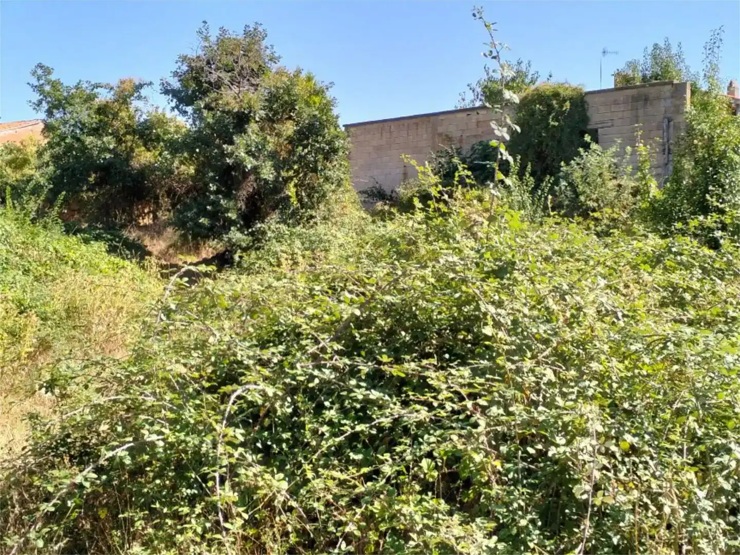 Terreno en venta en Ayoó de Vidriales