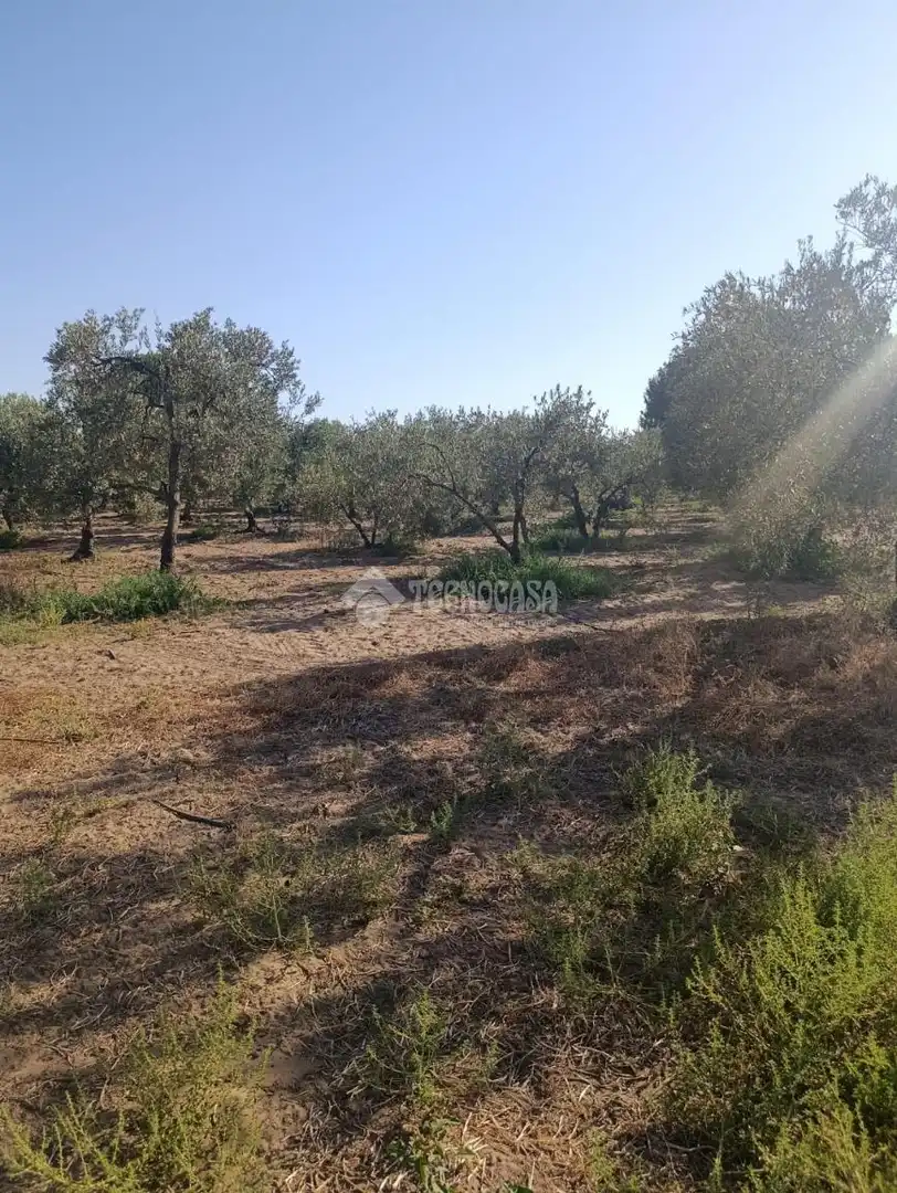 Terreni e lotti in vendita a Pedanías Norte, imagen 6