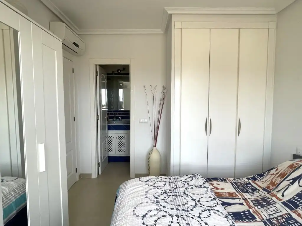 Apartament amb piscina en venda a Avenida Aloe Vera, imagen 11