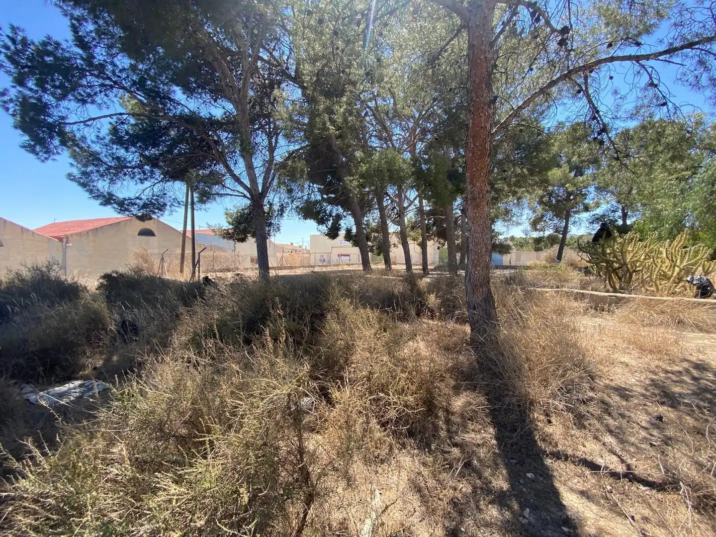 Casa o xalet en venda a Las Trescientas - San Francisco - Ciudad Vergel