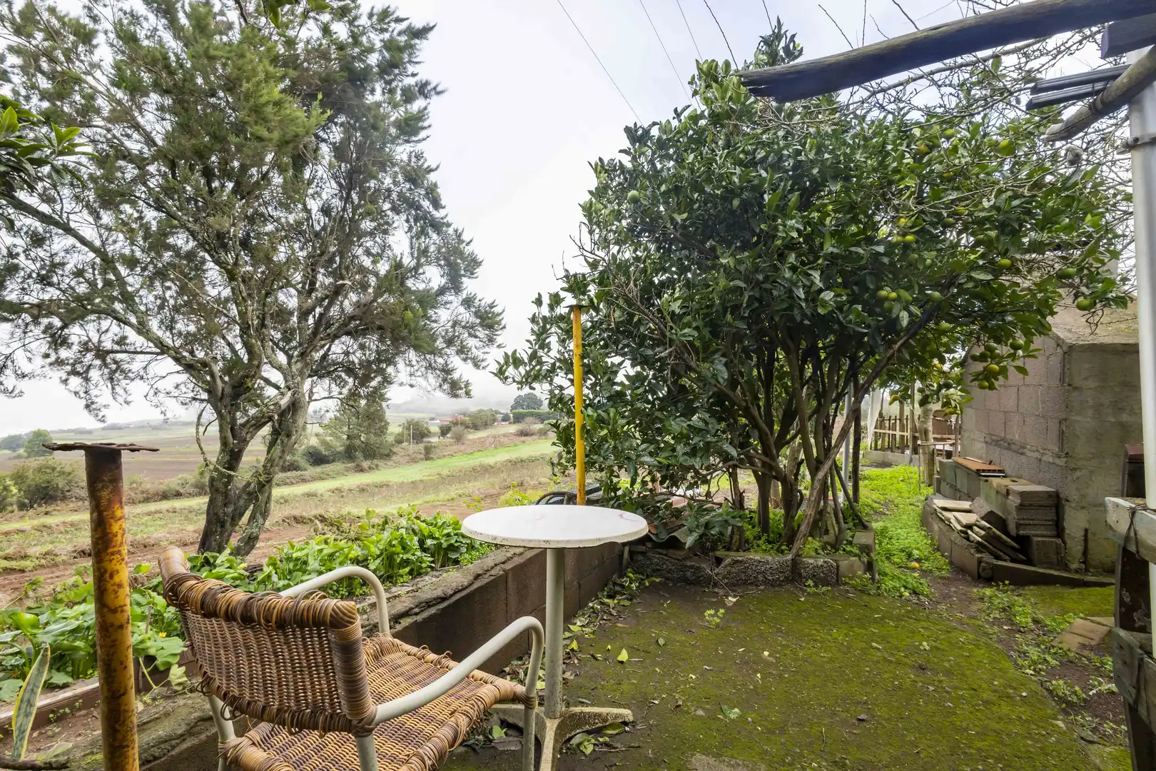 Jardín de Finca rústica en venta en San Cristóbal de la Laguna con Calefacción, Jardín privado y Terraza