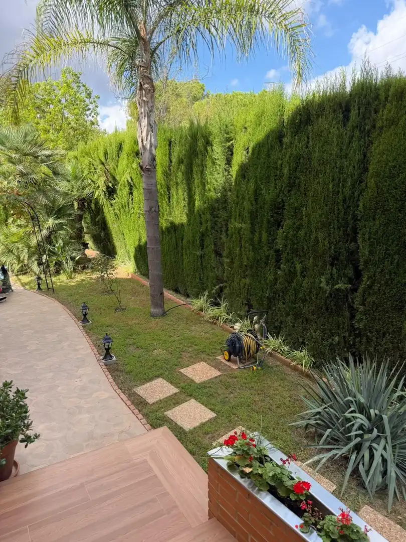Haus mit Terrasse zum Verkauf in Mas Camarena, imagen 31