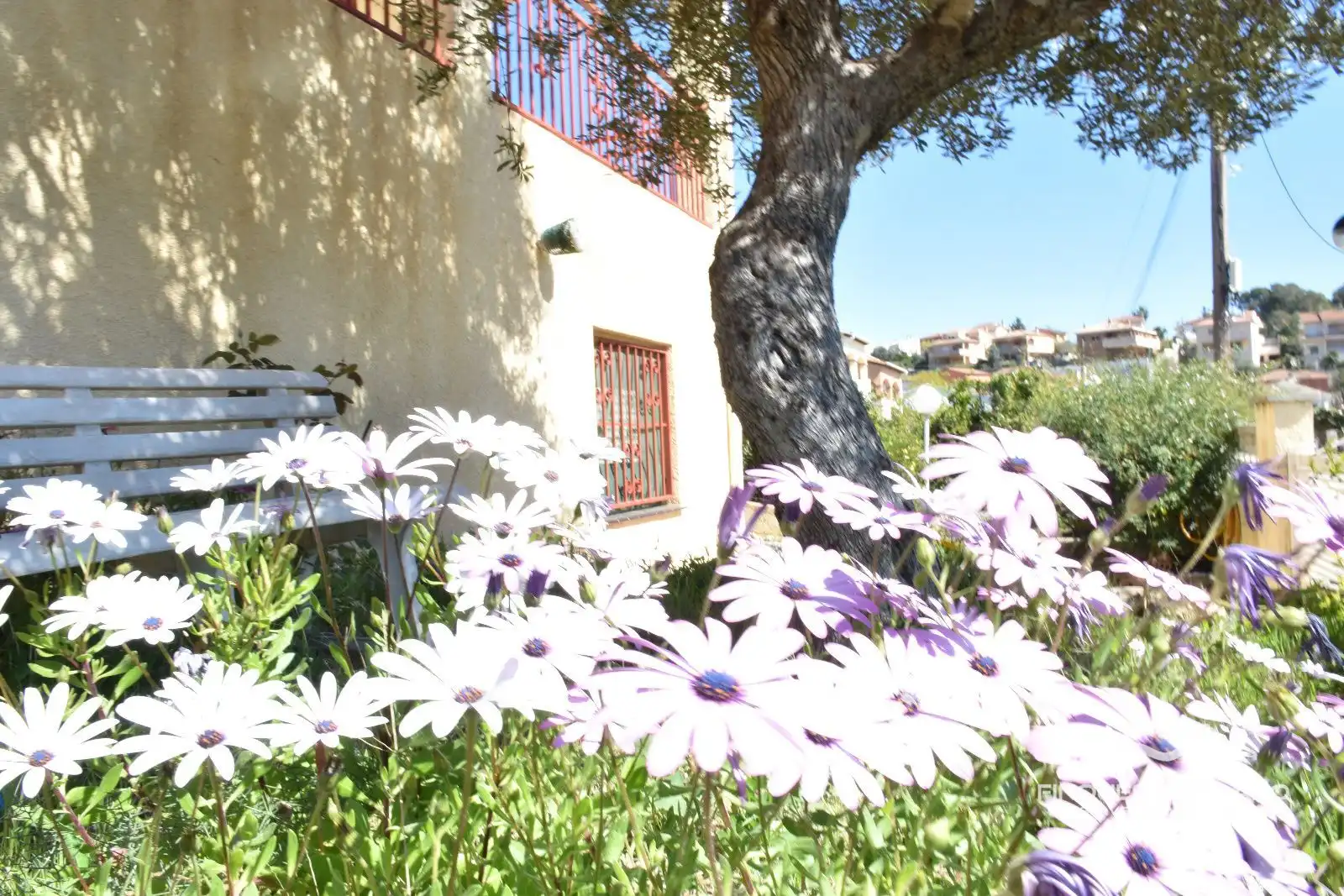 Chalet en venta en ASSUTZENA, imagen 5