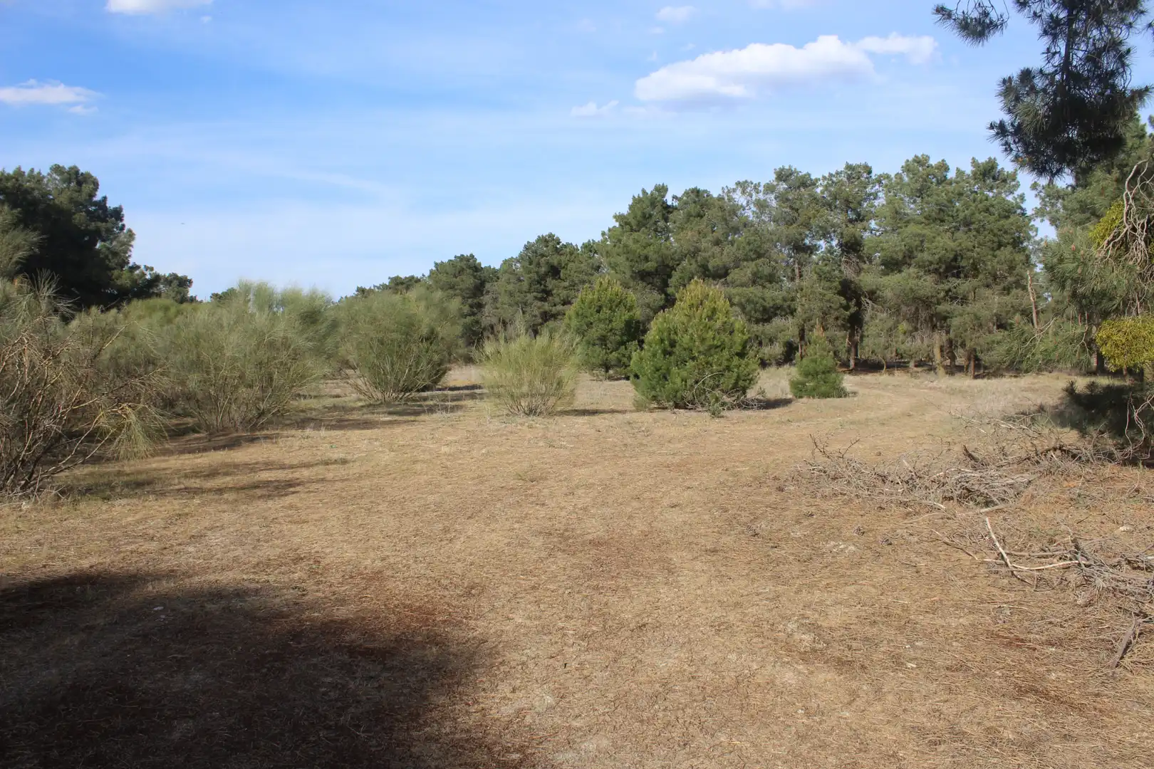 Terreni e lotti in vendita a A-6