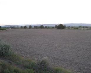 Land for sale in Fuentes de Ebro