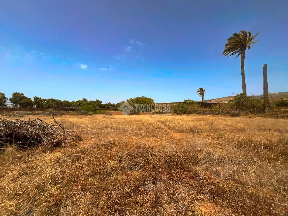 Rural land for sale in Ingenio pueblo, imagen 10