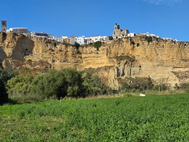 Terreno rustico in vendita a Arcos de la Frontera