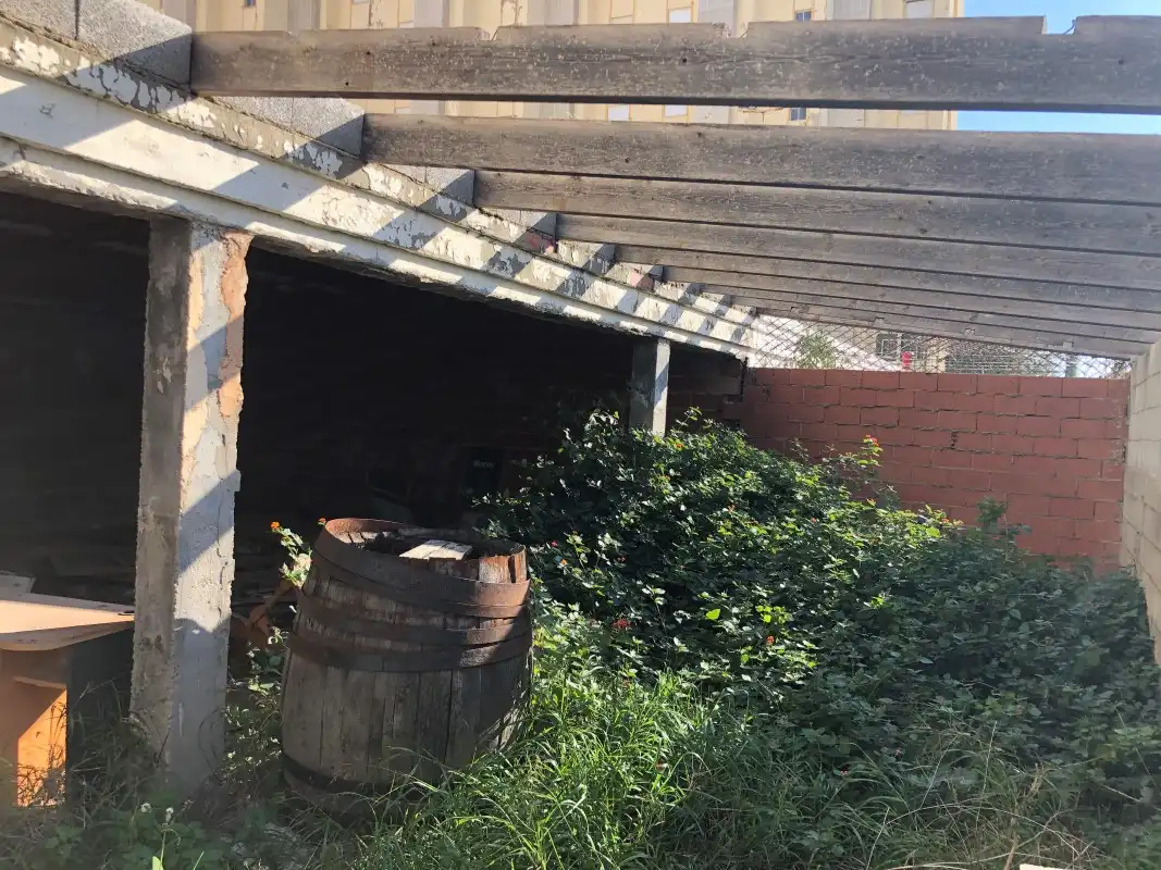 Gewerbefläche zur Miete in Playa de Gandia, imagen 18