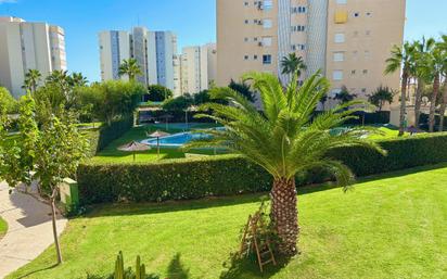 Garden of Flat for sale in Alicante / Alacant  with Air Conditioner, Heating and Private garden