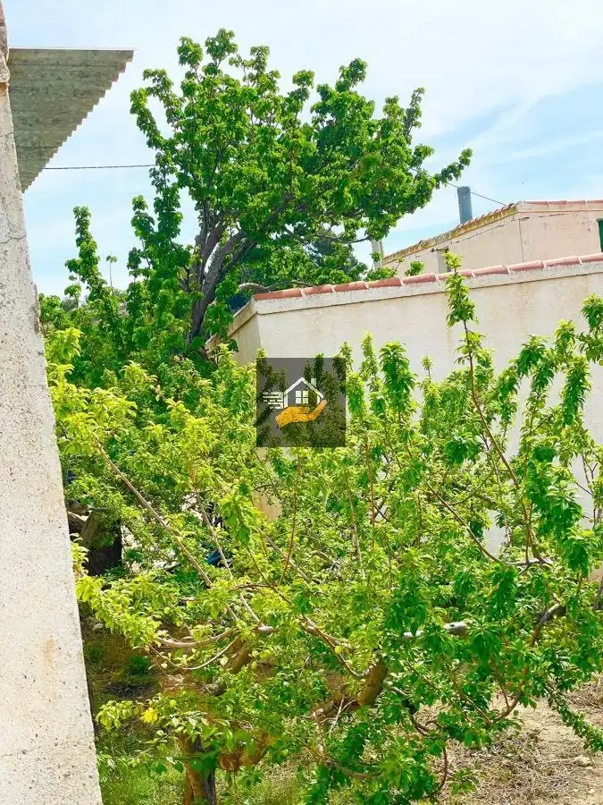 Lands and plots for sale in Vélez-Rubio, imagen 17