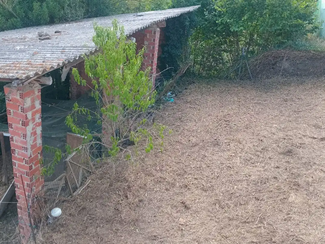 Casa o xalet en venda en Tineo amb Terrassa