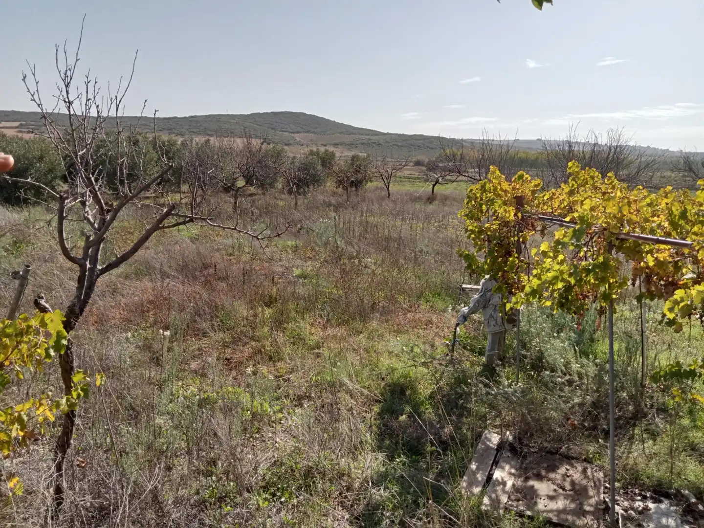 Casa o xalet en venda en Lezuza