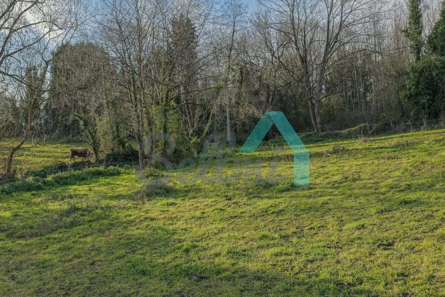 Casa o xalet en venda en Oviedo  amb Calefacció, Jardí privat i Terrassa
