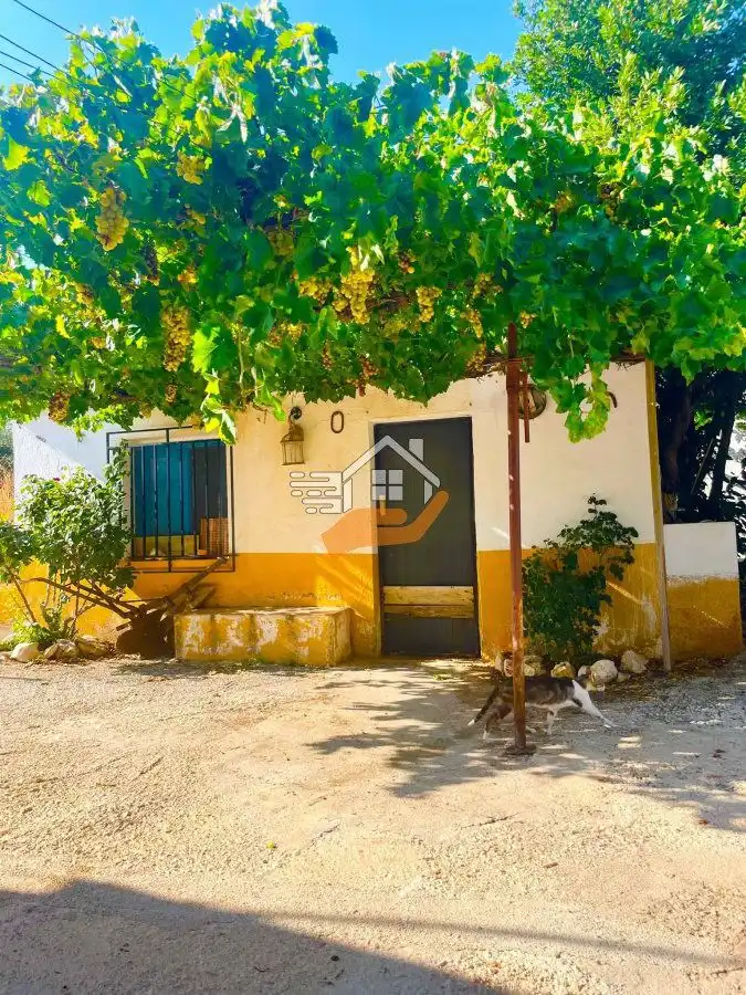 Chalet con piscina en venta en Vélez-Blanco, imagen 12