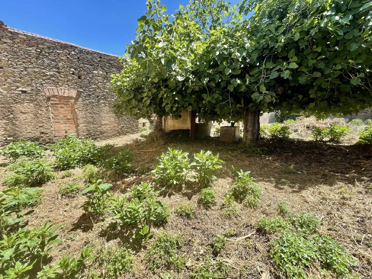 Terreni e lotti in vendita a Malpartida de Plasencia, imagen 4
