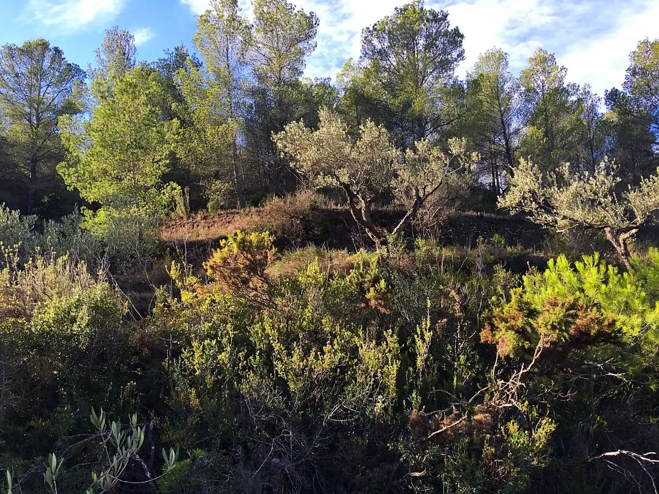 Maison à vendre à El Pinell de Brai, imagen 16
