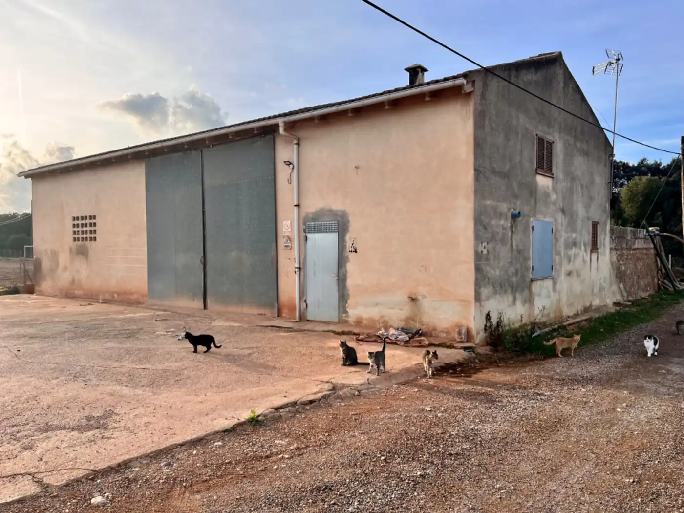 Casa rústica en venta en Llubí