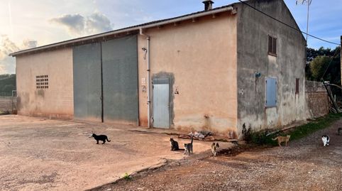 Finca en Llubi