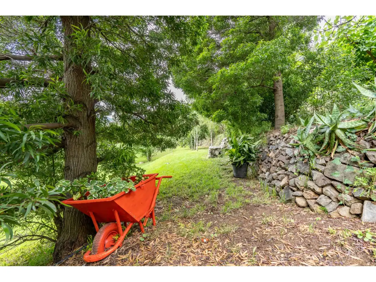 Jardí de Finca rústica en venda en Riudecols amb Calefacció, Jardí privat i Piscina