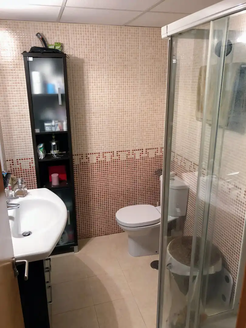 Flat with terrace to rent in Carrer Científico Jaime Santana, imagen 23