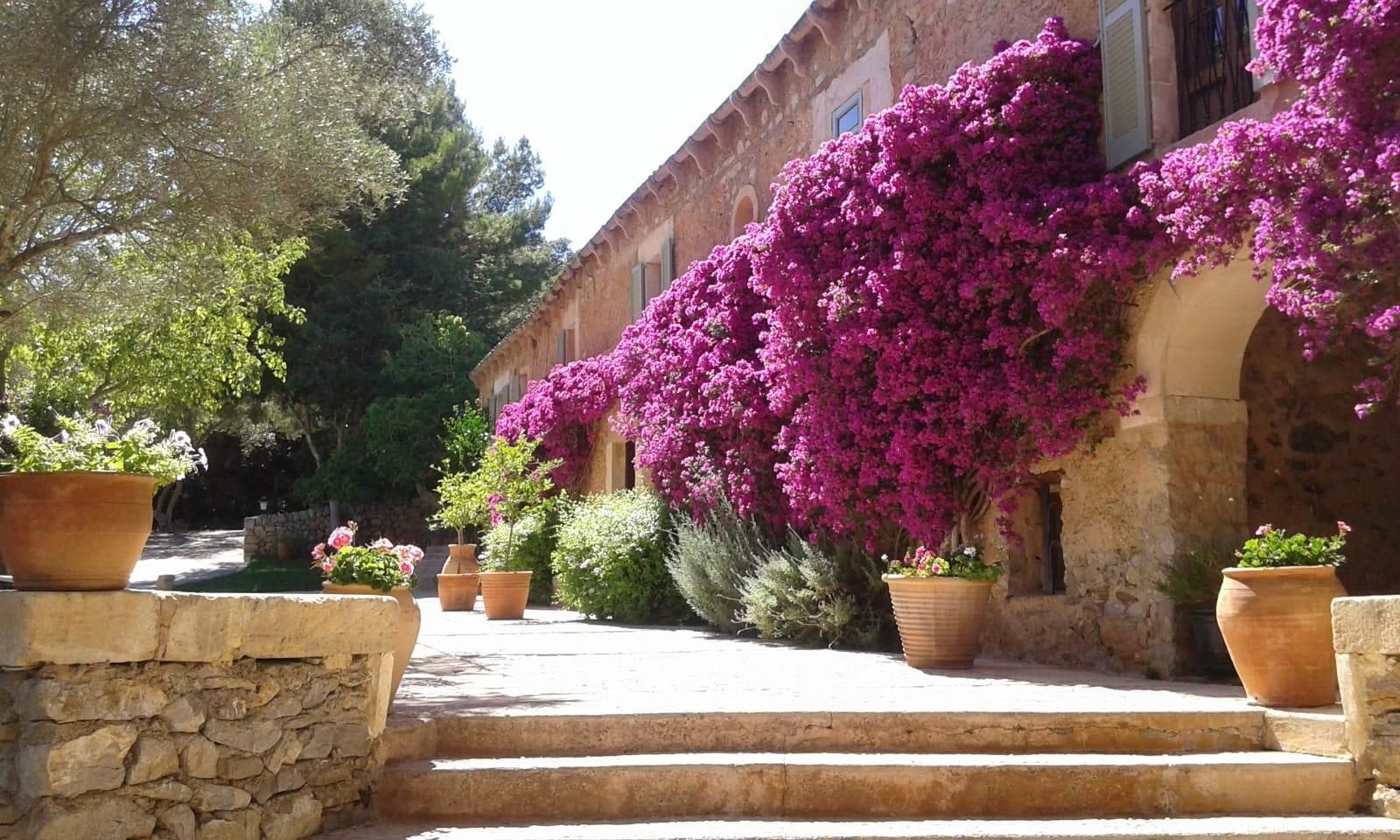 Garden of Country house for sale in Artà