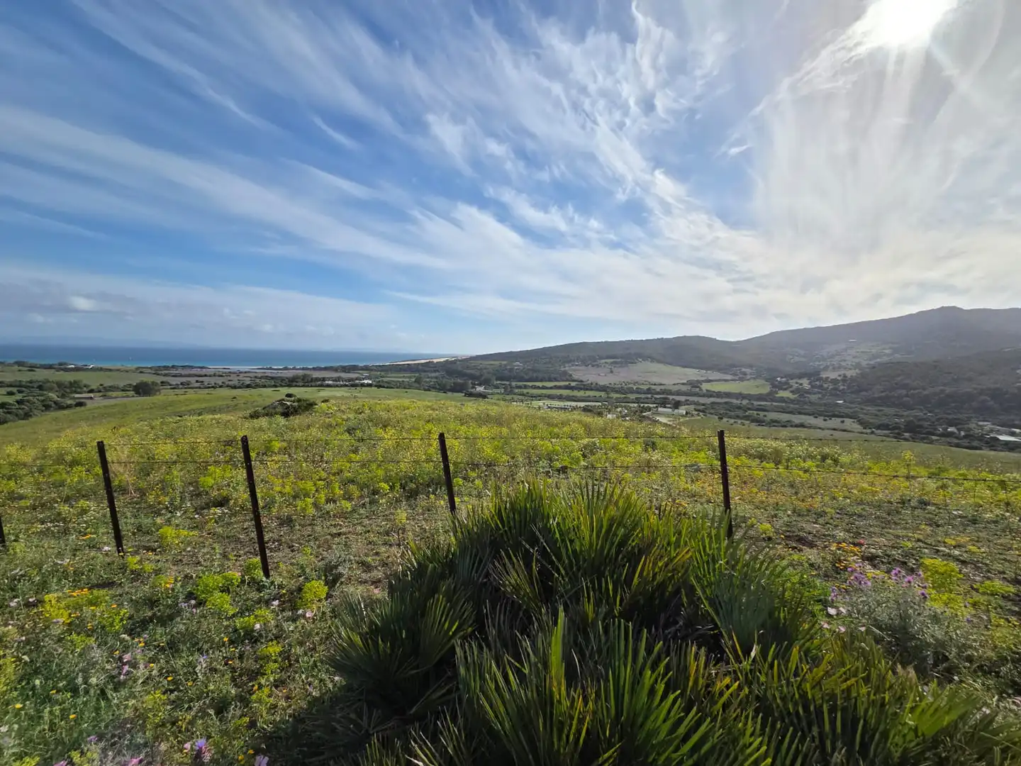 Terreno en venta en Tarifa