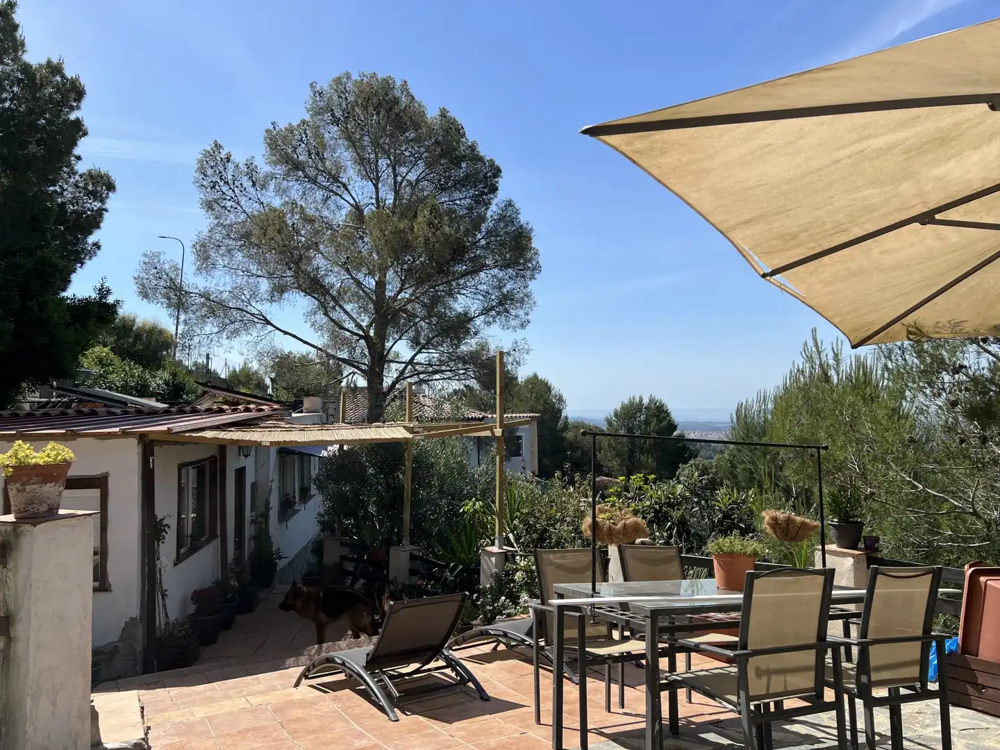 Casa o xalet en venda a ARBOLI, Almoster