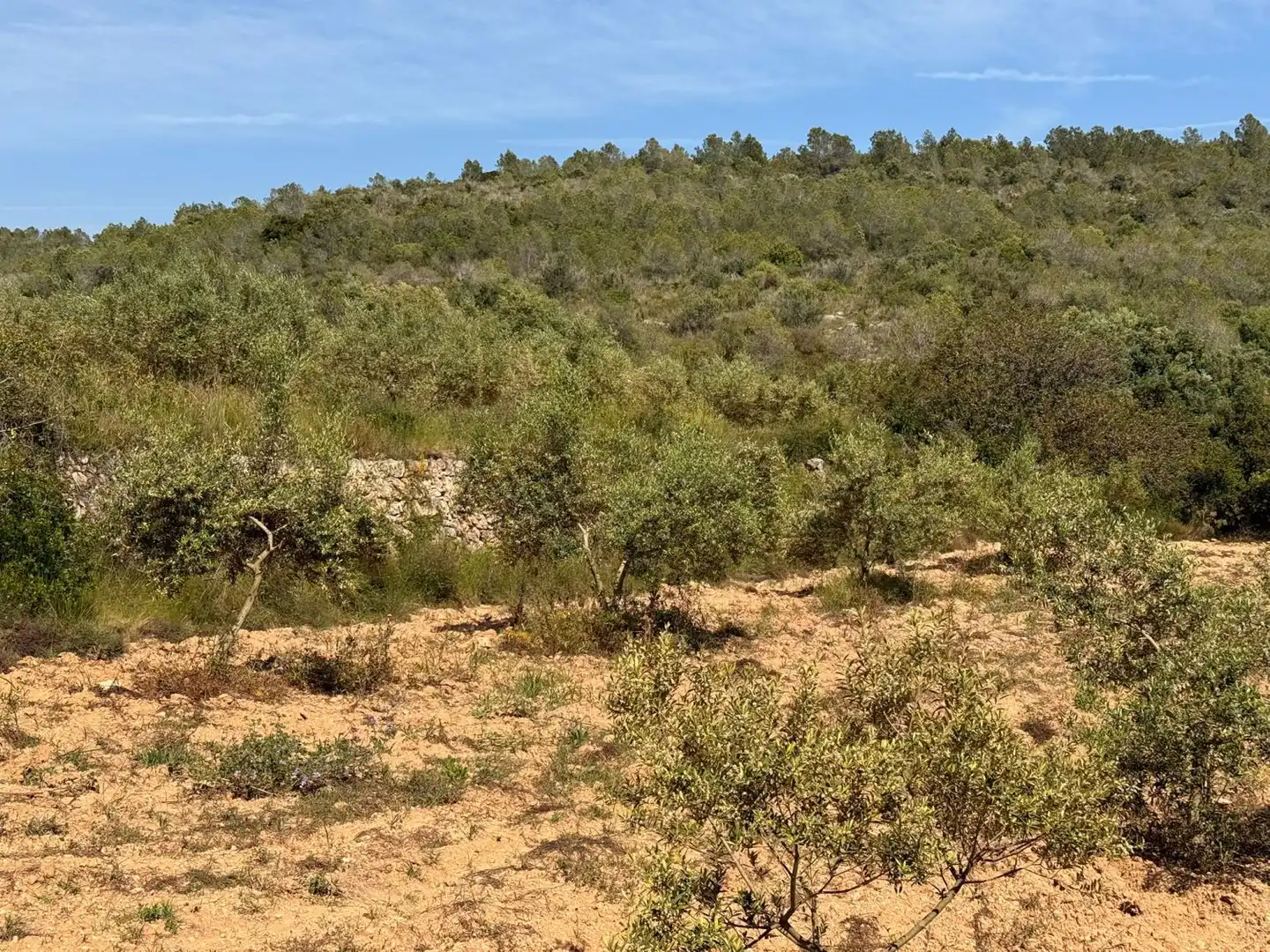 Finca rústica en venda a Vespella de Gaià