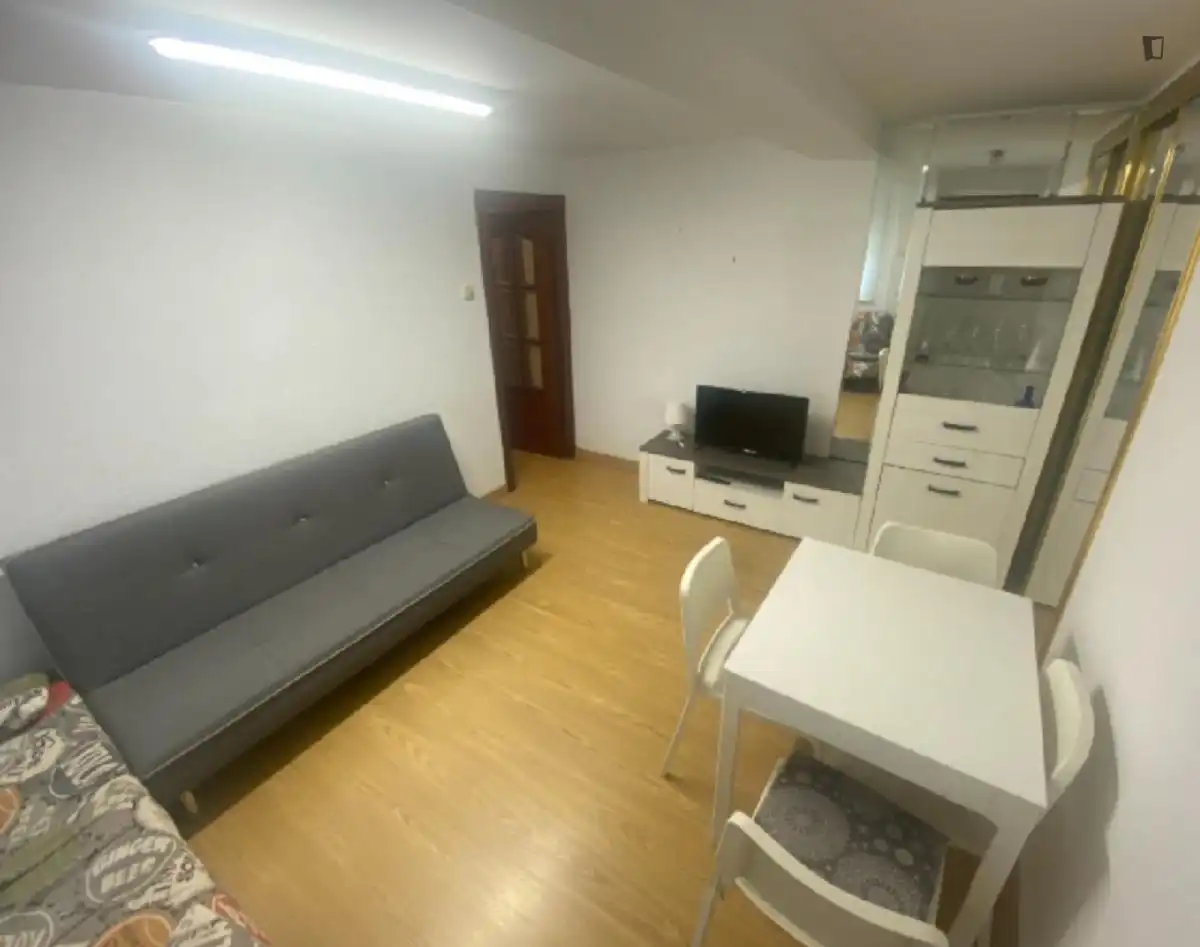 Sala de estar de Apartamento de alquiler en Salamanca con Amueblado, Horno y Lavadora