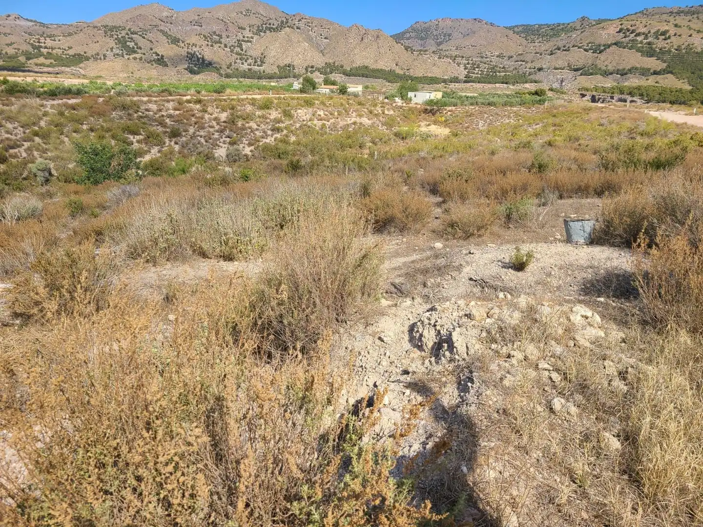 Terrains et parcelles à vendre à Pedanías Centro, imagen 43
