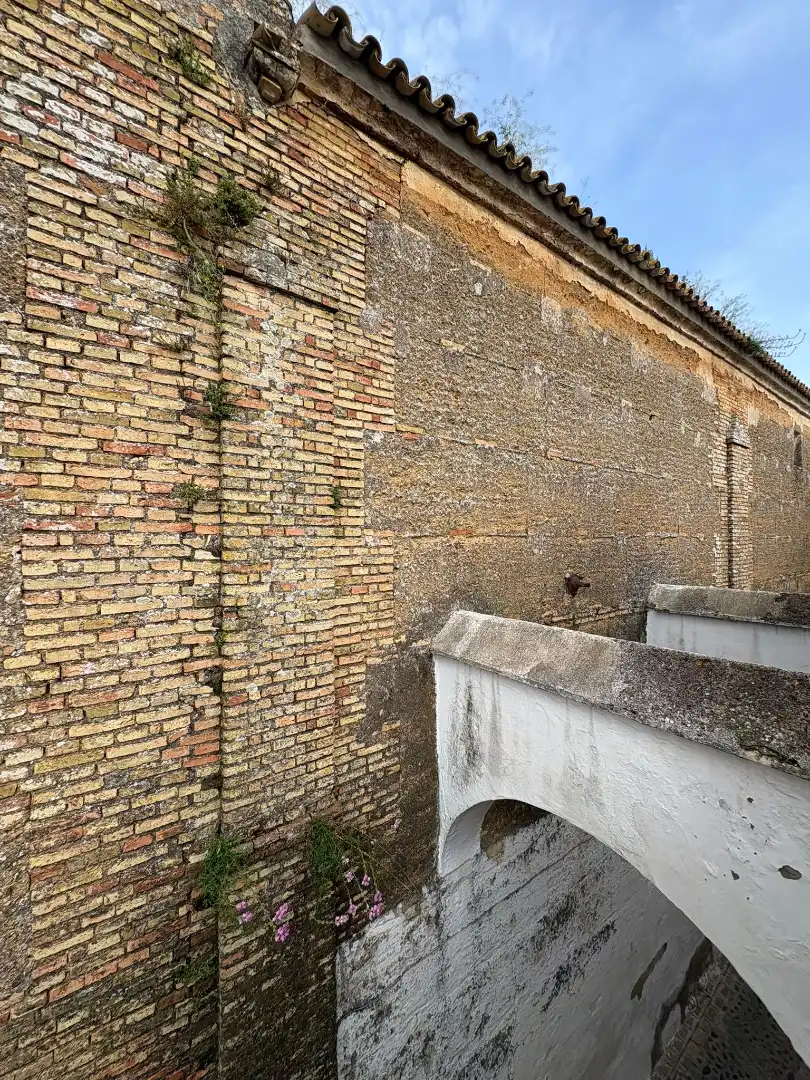 Vista exterior de Piso en venta en Carmona con Aire acondicionado, Calefacción y Amueblado