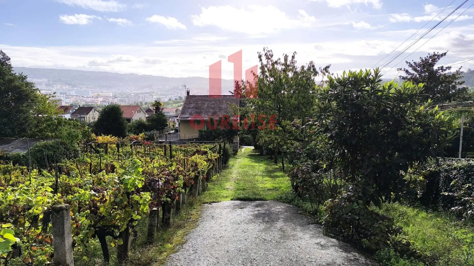 Exterior view of Houses for sale in Ourense Capital   with Private garden, Terrace and Storage room